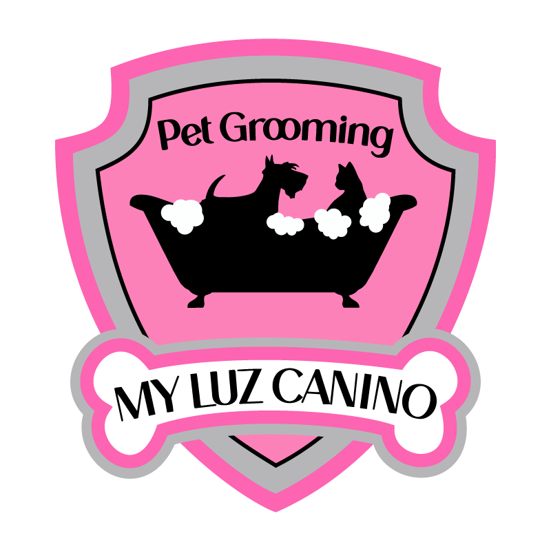 My Luz Canino