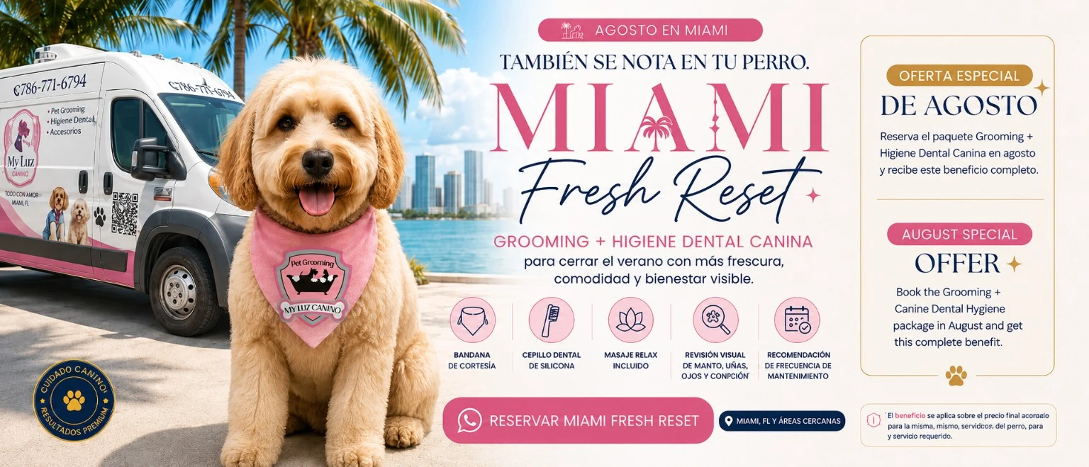 Miami Fresh Reset promotion by My Luz Canino