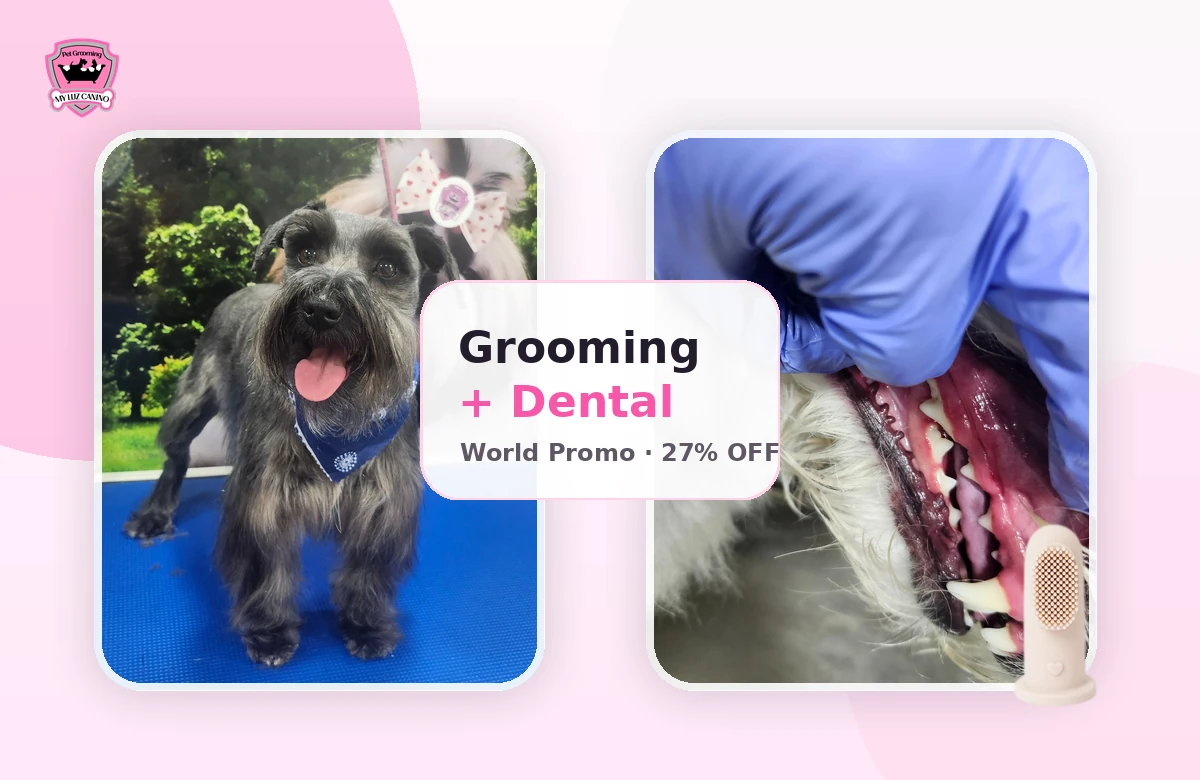 Grooming and canine dental hygiene package by My Luz Canino
