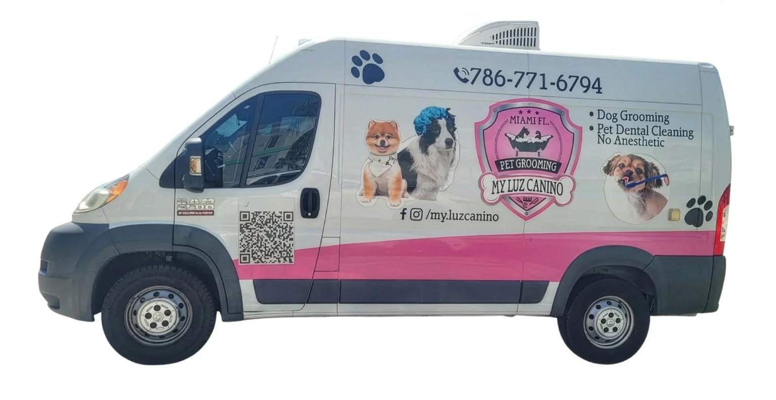 My Luz Canino van on route